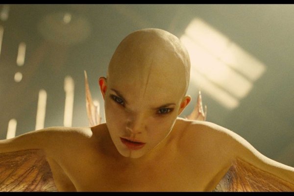 人兽性交，道德与伦理的十字路口-方知甜