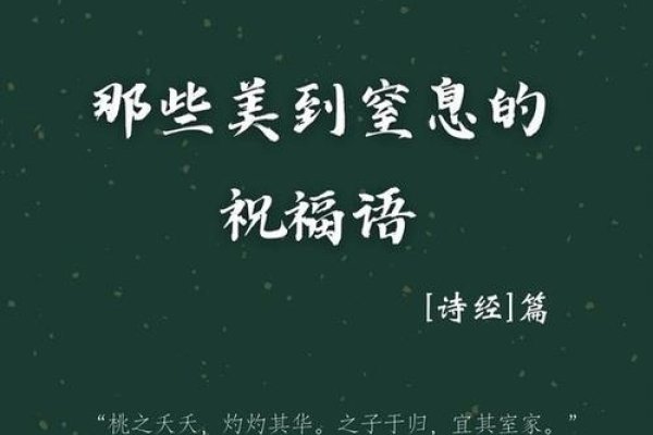 深爱之语，名为玲逸-方知甜