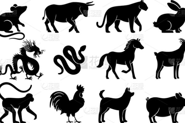 说长道短的动物是什么生肖-方知甜