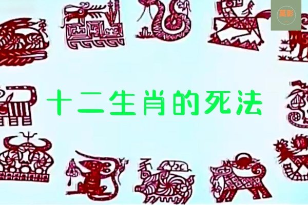 神出鬼没的动物，生肖之谜-方知甜