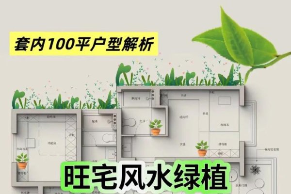 水草摆放助力家居风水，西南方位宜选，提升文昌好方法-方知甜