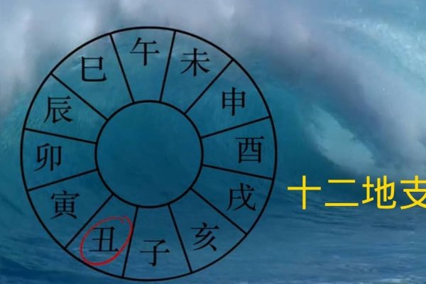 十二地支含义详解-方知甜