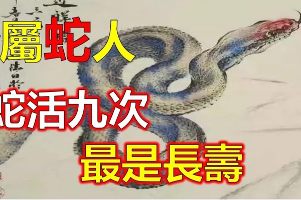 十二生肖中，唯吾独尊象征王者之蛇与勇猛虎相-方知甜