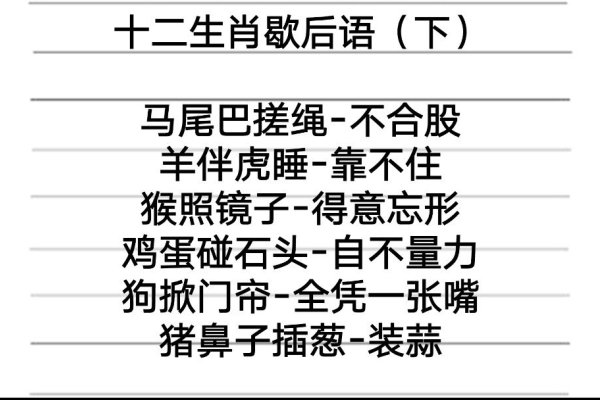 十二生肖歇后语大全-方知甜
