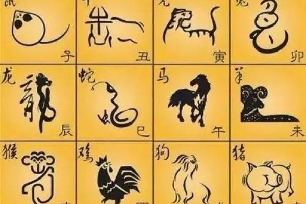 十二生肖看命运详解-方知甜