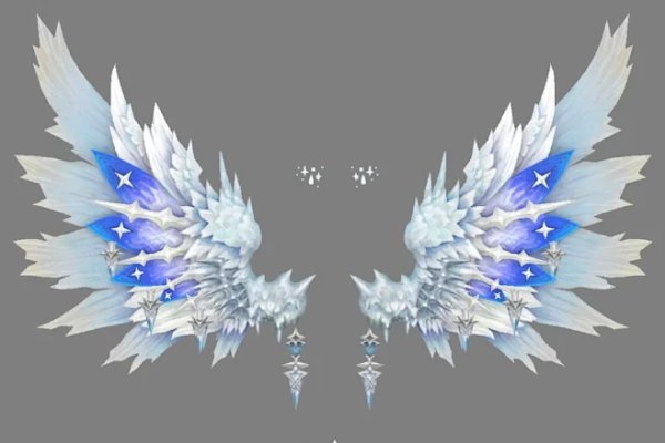 十二星座专属翅膀，星空中最独特的守护-方知甜