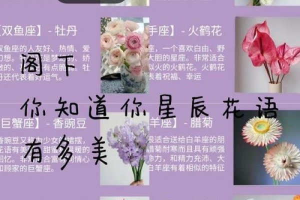 十二星座守护花精灵，揭秘各星座的花语与性格映射-方知甜