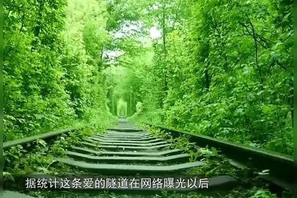 石家庄婚恋，在历史与现代交织的都市中寻觅真爱-方知甜