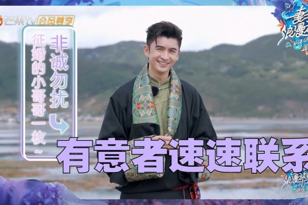 手机征婚，数字时代的浪漫新篇章-方知甜