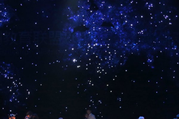 世界戏剧日，全球共赏，戏韵传承-方知甜