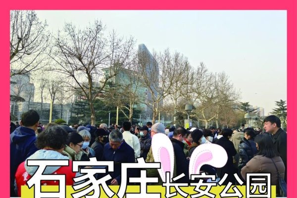 石家庄热门相亲角，线下交友新去处-方知甜