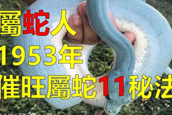 三马同槽指的是生肖蛇-方知甜