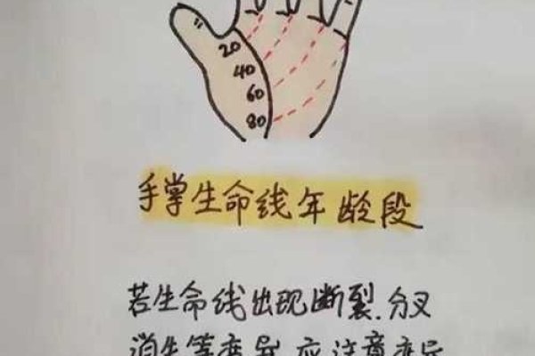 生命线长短非寿命决定因素-方知甜