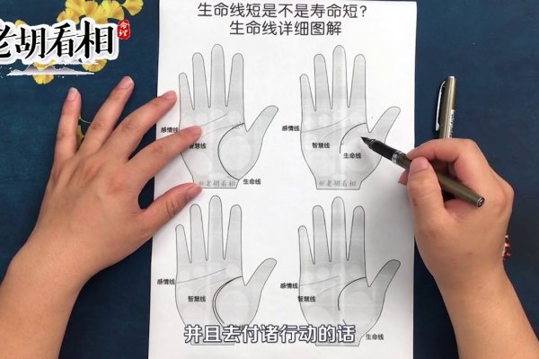 生命线短，生命的意义与延展的困境-方知甜