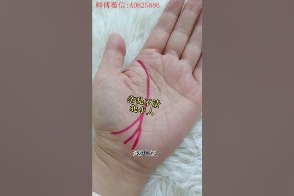 生命线分叉，探索命运的多重路径-方知甜