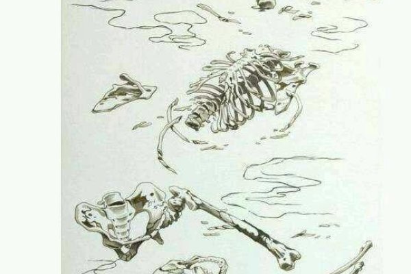 死人骨头，历史的见证与文化的反思-方知甜