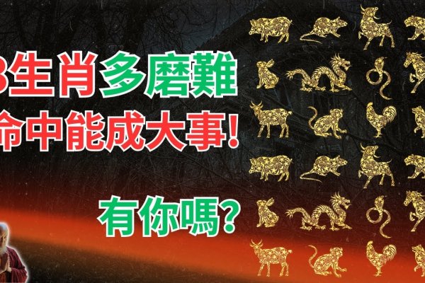 三日三省指的是什么生肖？-方知甜