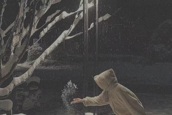 失望的网名，虚拟世界中的真实情感-方知甜