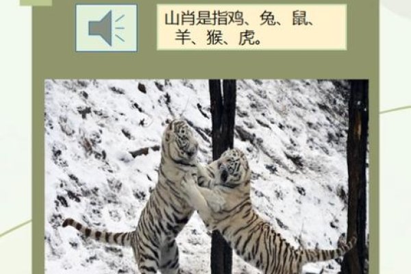 山外有山天外天，探寻生肖之谜-方知甜