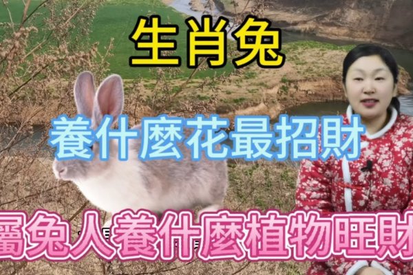 生肖本命带绿花，属兔可能性最大-方知甜