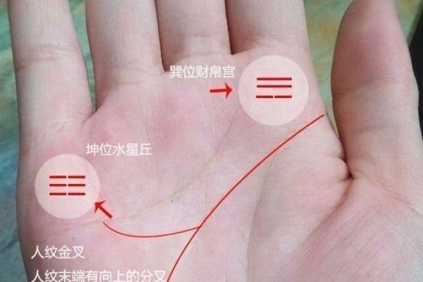 手相财富线，揭示你财运的奥秘-方知甜