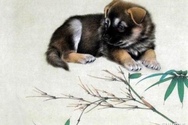 生肖答案为狗。-方知甜