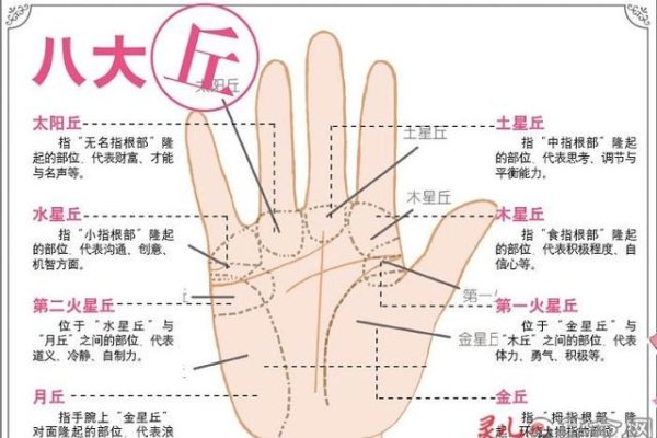 手相大师，揭秘命运的纹理-方知甜