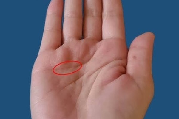 手相短纹断，婚姻风险高-方知甜