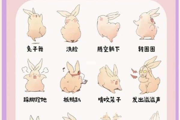 三心二意，生肖兔的机智与灵活-方知甜