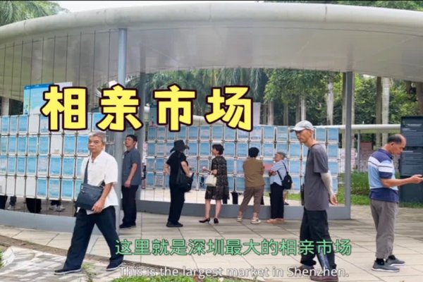 深圳婚介所，连接都市单身男女的幸福桥梁-方知甜