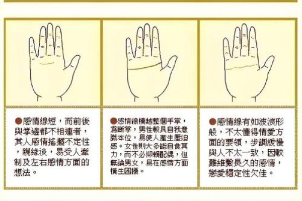 手纹解读女性命运,九种特殊纹路助财富-方知甜