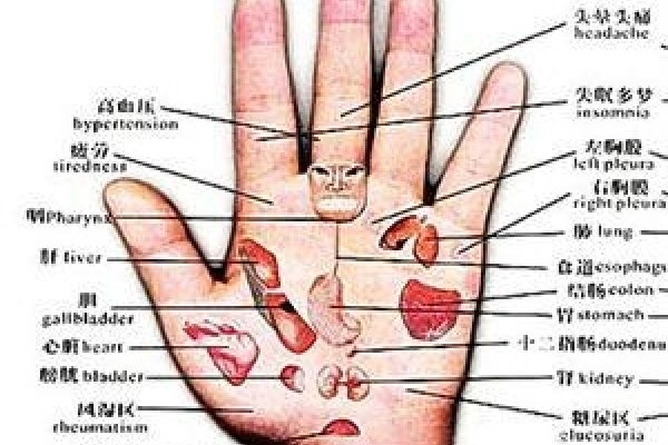 手纹看病，古老智慧与现代科学的交汇-方知甜