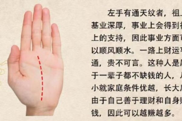 手相看富贵，揭秘男女财富命相特征-方知甜