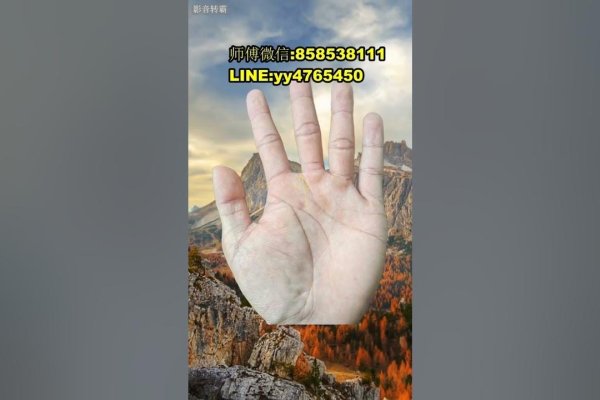手相面相，探索古老智慧与现代科学的交汇-方知甜