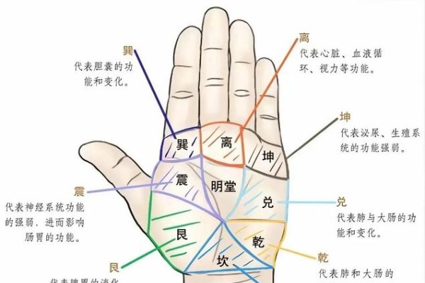 手掌算命，探索古老智慧与现代科学的交汇点-方知甜