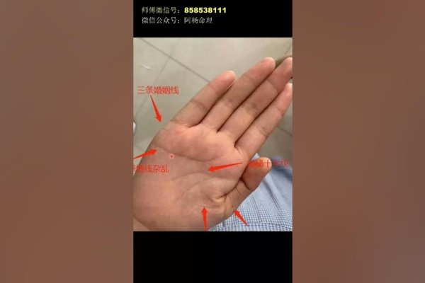 手相图解，揭秘财富、事业与命运的奥秘-方知甜