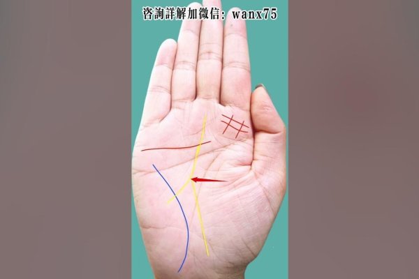 手相图解，女右手的神秘密码-方知甜