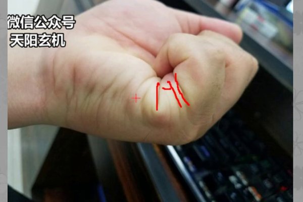 手相图解,揭秘婚姻线的奥秘-方知甜