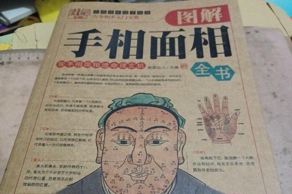 手相图解，破解命理密码的终极解密术-方知甜