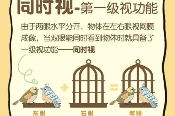 三庭五眼，构建高阶视觉语言的智慧之钥-方知甜