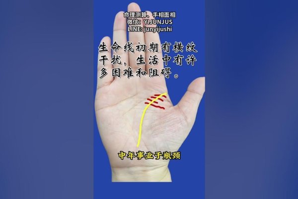 手相，传统信仰与现代科学的碰撞，准确性几何？-方知甜