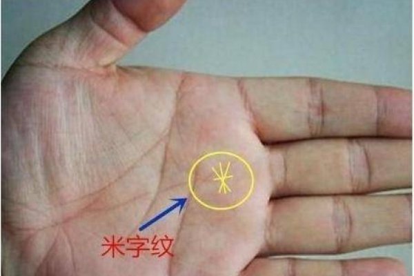 手相，洞察生命密码的探秘之旅-方知甜