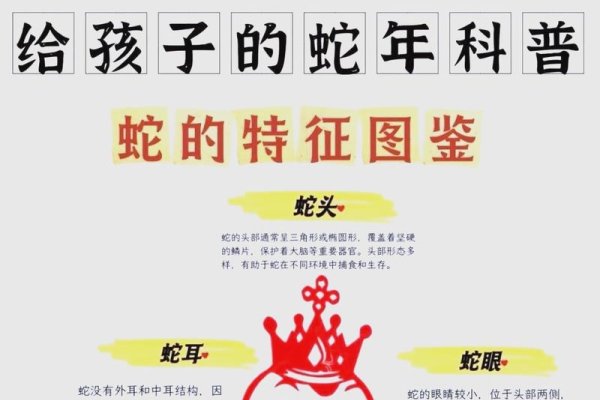 生肖蛇的堂室象征步步提升，鼠型灵活机智。-方知甜