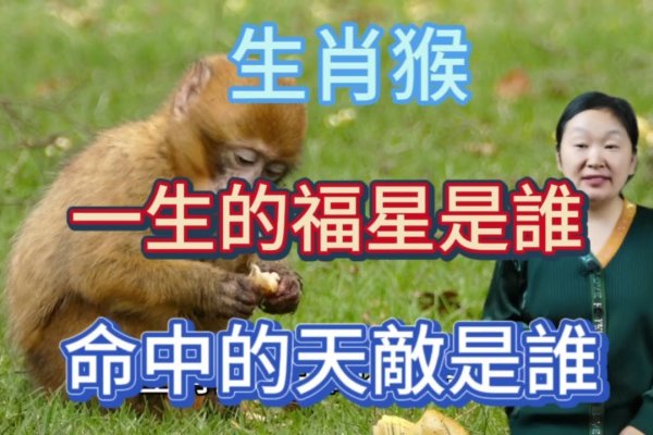 生肖智慧，猴，最接近无所不知的生灵？-方知甜