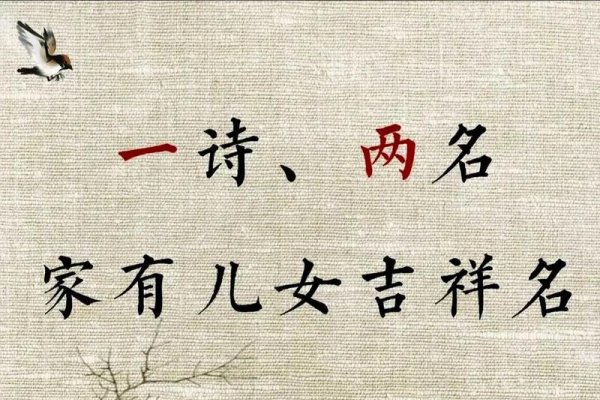 双胞胎姐妹，共舞人生的旋律——起名艺术与寓意-方知甜