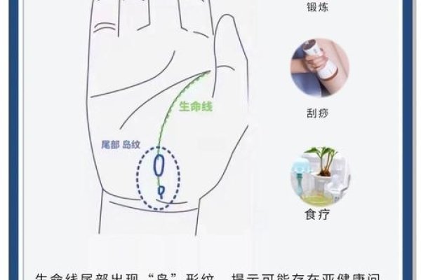 手纹与健康，探寻生命密码中的健康密码-方知甜