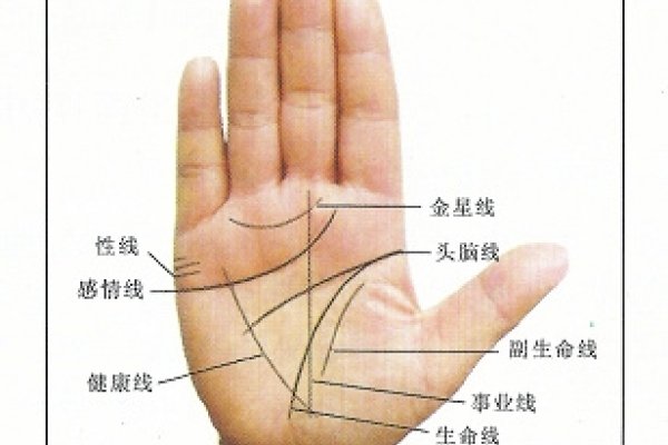 手纹与健康的奥秘，生命线、指甲和十字纹的解读-方知甜