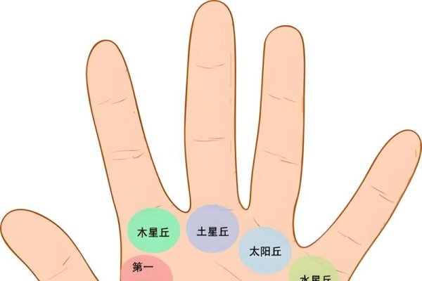 手纹与健康，古老智慧与现代医学的交汇-方知甜