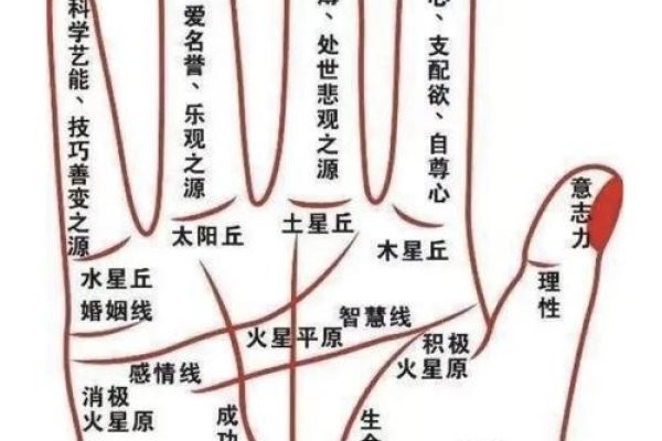 手相中的成功线，解读命运与努力的交汇点-方知甜