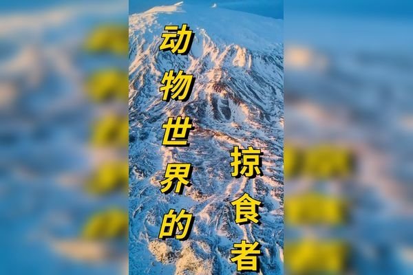 生肖中的卑鄙无耻:是老鼠还是蛇？-方知甜